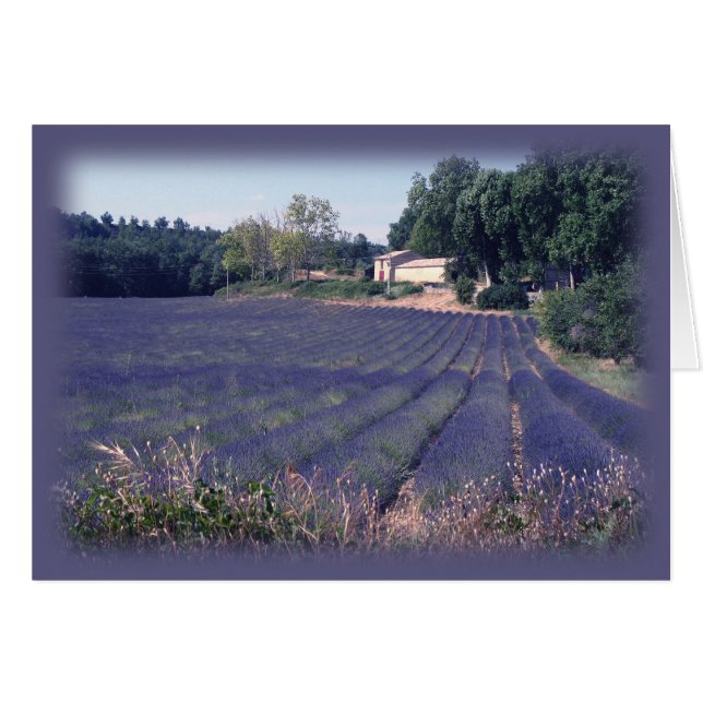 Lavender Haze Blank Art Card (Front Horizontal)