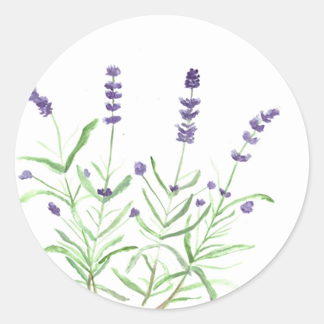 Lavender herb botanical print classic round sticker (Front)