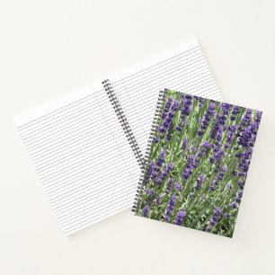 Lavender Herb Flowers Floral Notebook