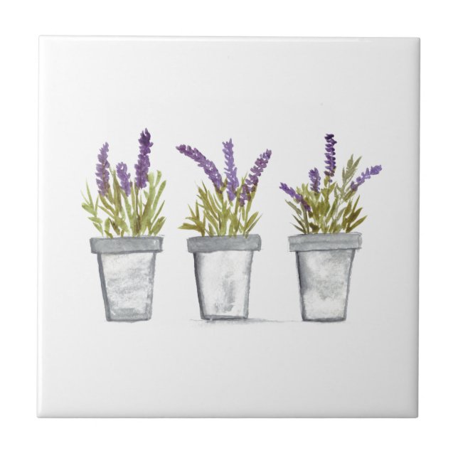 Lavender herb pot plant  tile (Front)