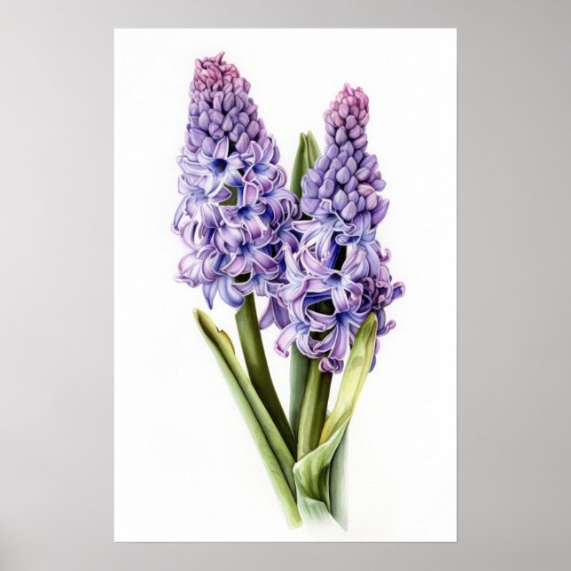 Lavender Hyacinth Flower Art Print Poster (Front)
