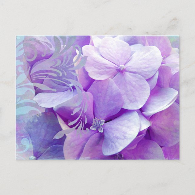 Lavender Hydrangea Floral Swirl Postcard (Front)