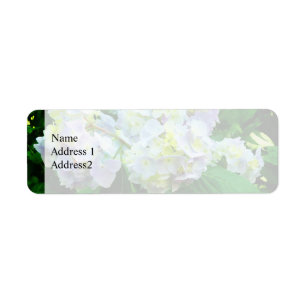 Lavender Hydrangea in Garden Save the Date