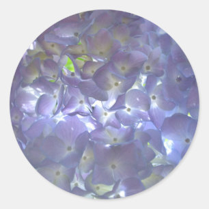Lavender Hydrangeas purple flowers  Classic Round Sticker