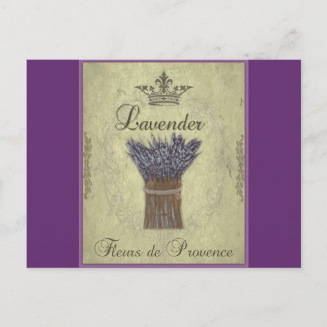 Lavender Illustration no 2 Postcard (Front)