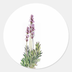 Lavender in Bloom card/letter seal stickers