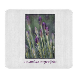 Lavender in Bloom Cutting Board