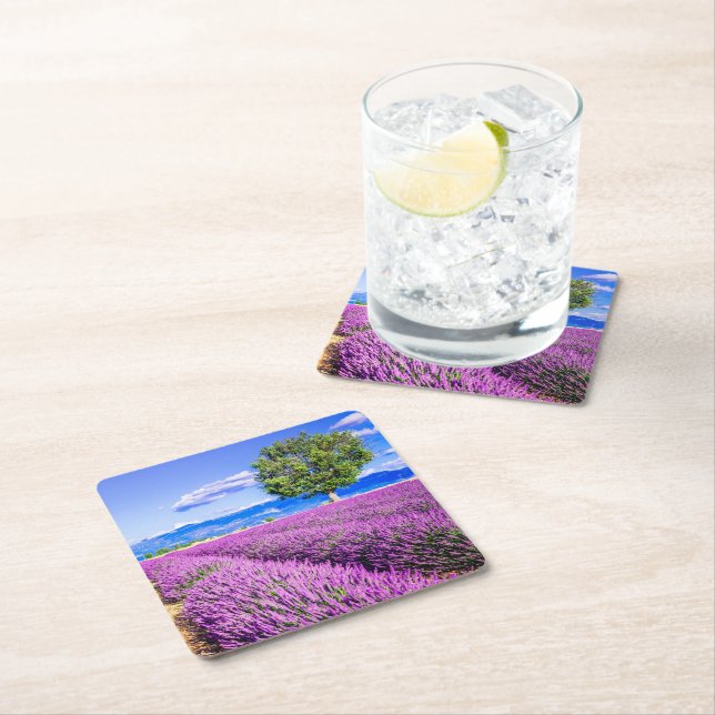 Lavender in Provence Square Paper Coaster (Insitu)