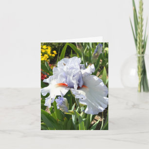 Lavender Iris Personalised Greeting Card