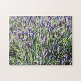 Lavender Jigsaw Puzzle