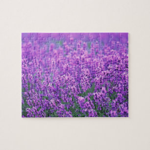 Lavender Jigsaw Puzzle