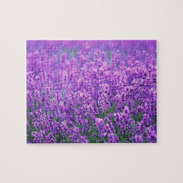 Lavender Jigsaw Puzzle (Horizontal)