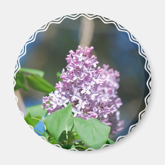 Lavender Lilac  Magnet (Front)