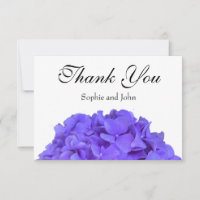 Lavender lilac purple hydrangea flowers