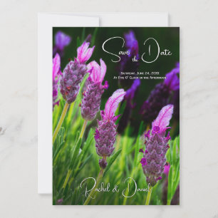 Lavender, Love & Devotion, Wedding Save the Date,  Invitation