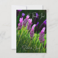 Lavender, Love & Devotion, Wedding