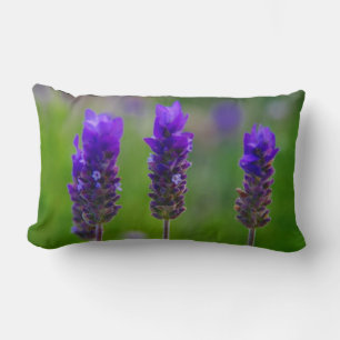 lavender lumbar cushion