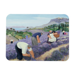 Lavender Magnet