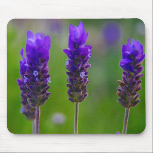 lavender mouse pad