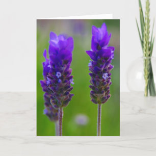 lavender mum love card