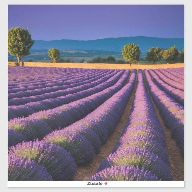 Lavender Nature Outdoors Landscape Calm Peaceful  (Sheet)