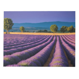 Lavender Nature Outdoors Landscape Calm Peaceful Notepad