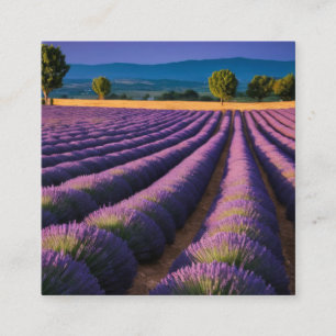Lavender Nature Outdoors Landscape Calm Peaceful Square Business Card