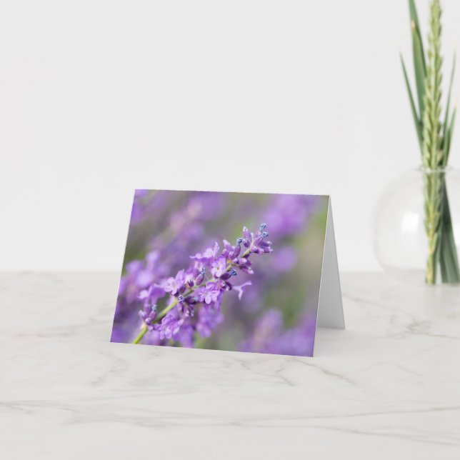 Lavender  note card (Front)