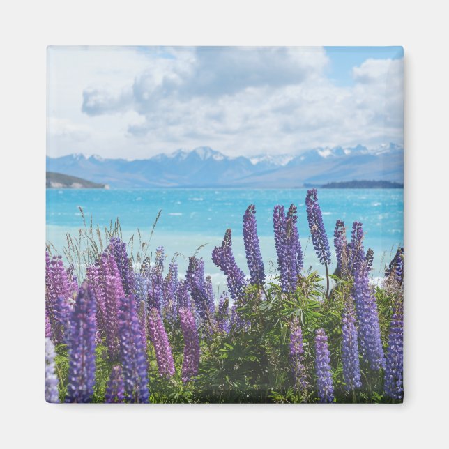 lavender on the lake shore magnet (Front)