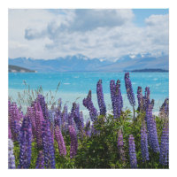 lavender on the lake shore
