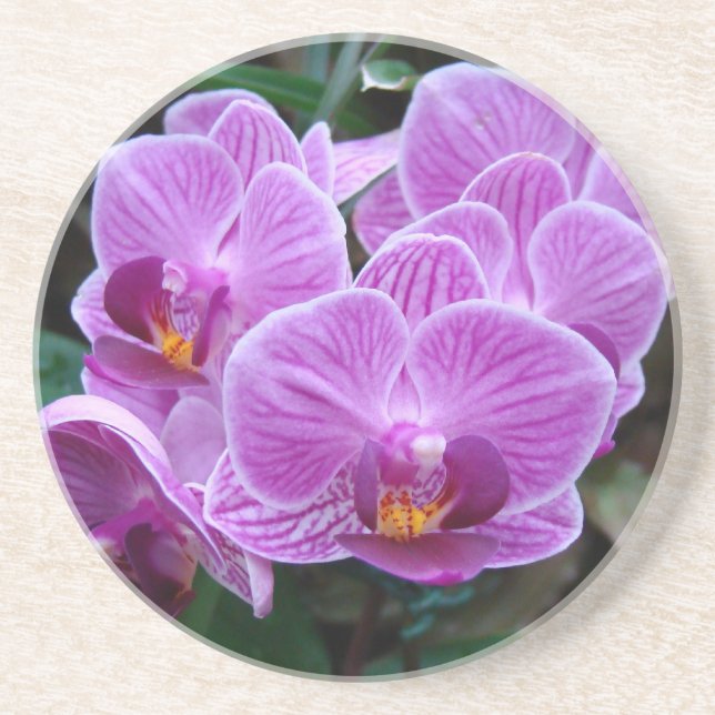Lavender Orchid Coaster (Front)