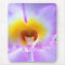 Lavender Orchid Mouse Pad