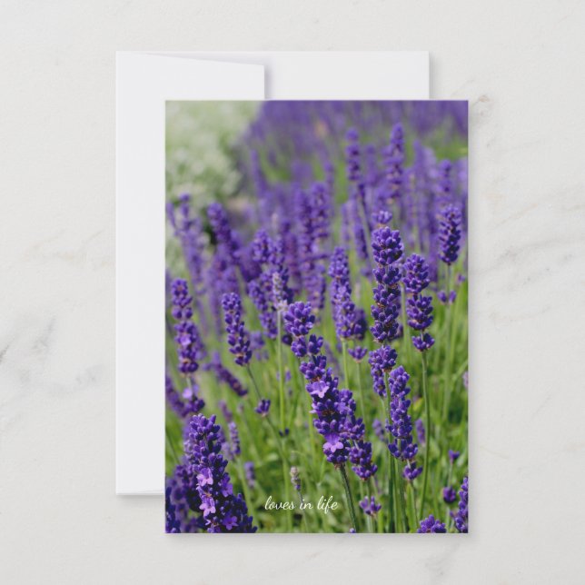 Lavender Patch Card (Front)