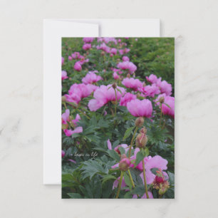 Lavender Peonies Card
