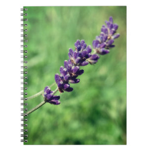Lavender Photo Spiral Notebook