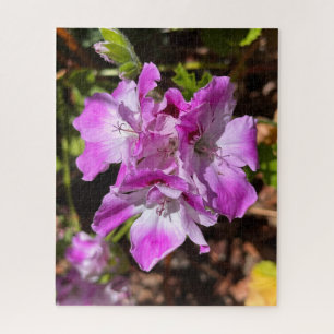 Lavender-Pink Martha Washington Geranium, Oakland Jigsaw Puzzle
