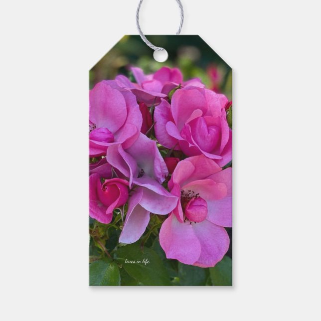  Lavender Pink Rose Gift Tags (Front)