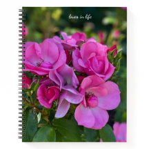 Lavender Pink Rose Hardcover