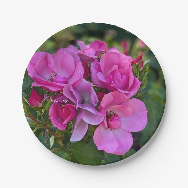  lavender Pink Rose Paper Plate (Front)