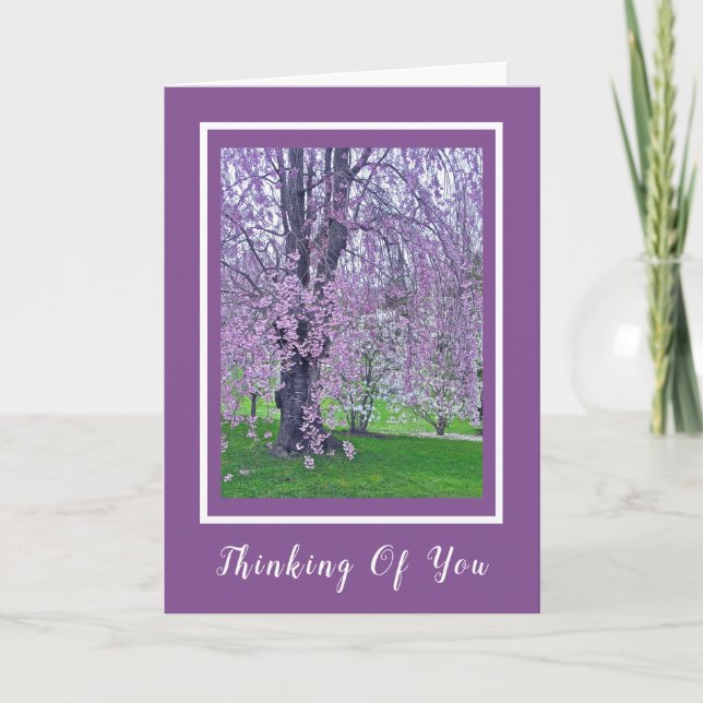 LAVENDER PINK WEEPING CHERRY TREE/Thinking Of You Card (Front)