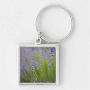 Lavender plants 2 key ring