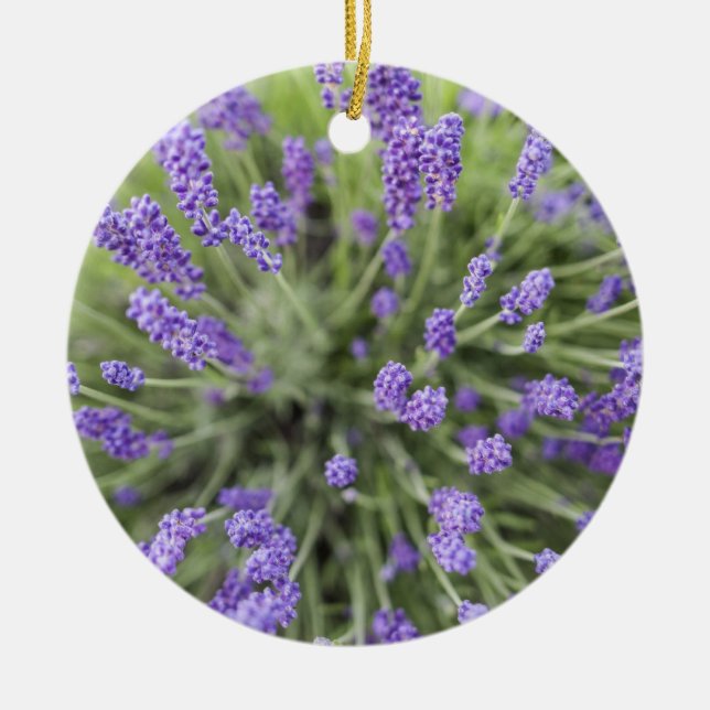 Lavender plants ceramic tree decoration (Front)