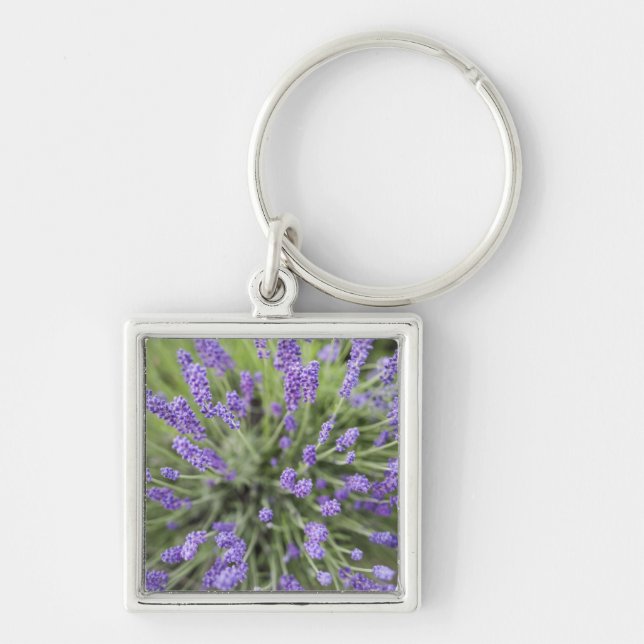 Lavender plants key ring (Front)