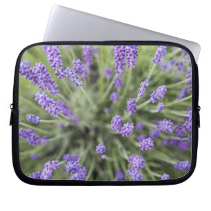 Lavender plants laptop sleeve