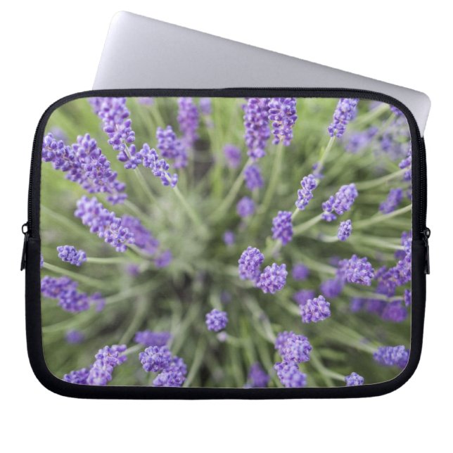 Lavender plants laptop sleeve (Front)