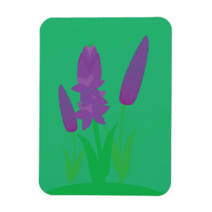 Lavender Plants Magnet