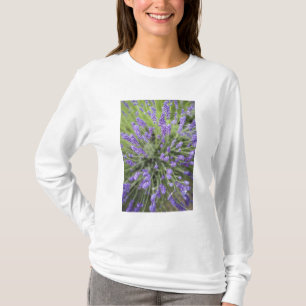 Lavender plants T-Shirt