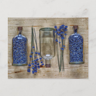 Lavender Postcard