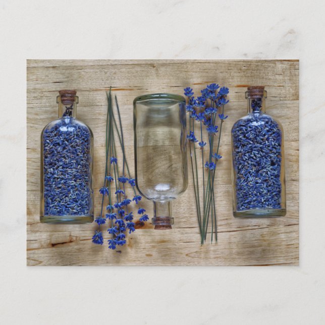 Lavender Postcard (Front)