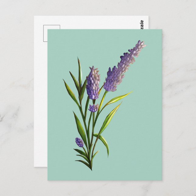 Lavender Postcard (Front/Back)